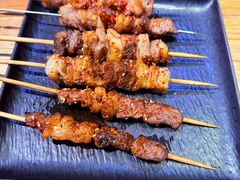-齐函杨佳清真烤肉(鑫海店)