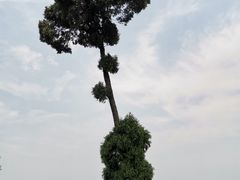 -金堂县云顶石城风景区