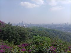 -广州市白云山风景名胜区