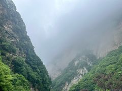 -少华山国家森林公园