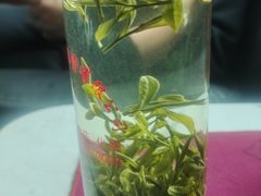 -文娟土菜馆(天柱山店)