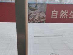 -洞庭鱼香(万科店)