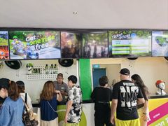-圣淘沙天际线斜坡滑车