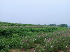 -光明小镇欢乐田园