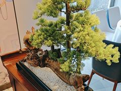 -顺峰(农展馆店)
