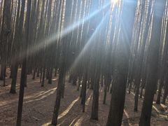 -山王坪喀斯特国家生态公园