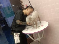 -FAELING PETS美天灵宠物(富力广场店)