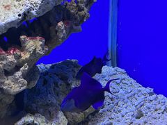 -海合安青岛极地海洋公园