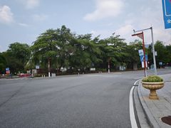 -国恩寺