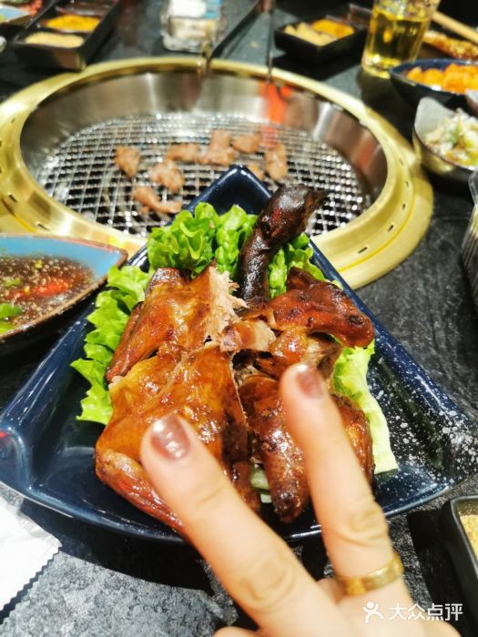 赤铁扒拉锅·烤串·烤鸽子图片