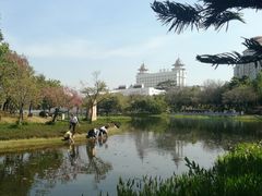 -映月湖公园