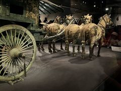-秦始皇帝陵博物院-丽山园