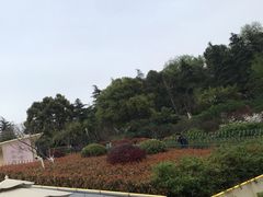 -UNI UNI(环亚凯瑟琳店)