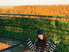 -黄海国家森林公园