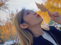 -三里屯东五街银杏大道
