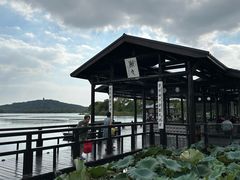 -渤公岛生态公园