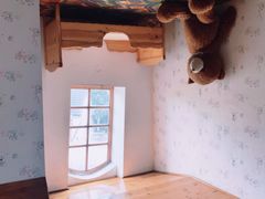 -金山农民画村-枫泾波兰倒置屋