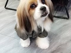 -久久宠物(河东万达店)