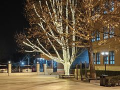 -北京市海淀外国语实验学校