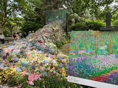 -上海共青森林公园