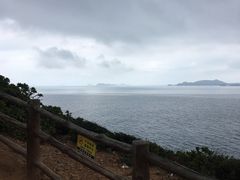 -杨梅坑