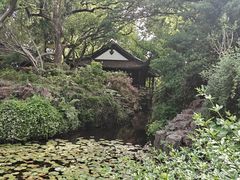 -上海醉白池公园
