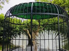 -养云安缦吧THE BAR