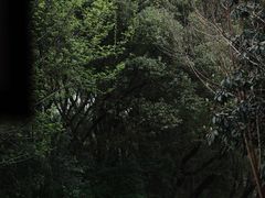 -同里国家湿地公园