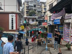 -猫咪博物馆(顶澳仔猫街店)