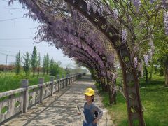 -南通洲际绿博园