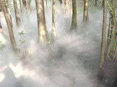 -东湖落雁景区