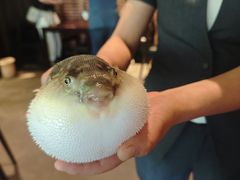 -永安鱼庄·镇江菜(东吴路店)