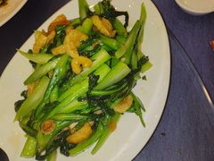 -金龙寨(龙城路店)