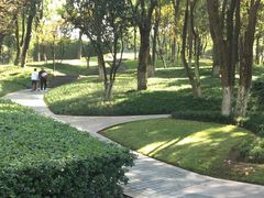 -重庆市江北嘴中央商务区中央公园