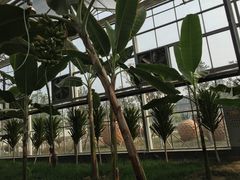 -兰陵国家农业公园