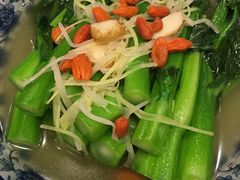 -海王老记