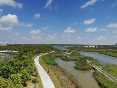 -春花秋色城市公园