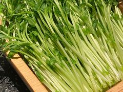 -盡膳口福跷脚牛肉火锅(北美新天地店)