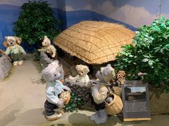 -济州岛泰迪熊博物馆