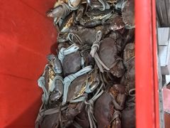 -老财炒饭·熟地蟹·冬瓜蟹