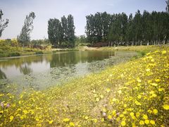 -东郊湿地公园
