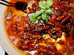 -辛香汇·现炒川菜(淮海路百盛店)