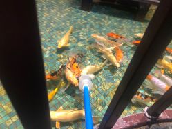 -酷嗒动物文化乐园(cutezoo西溪乐天城店)