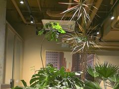 -Wagas沃歌斯(北京君太百货店)