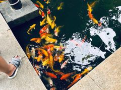 -三亚亚龙湾五号度假别墅酒店