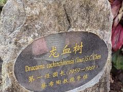 -中国科学院西双版纳热带植物园