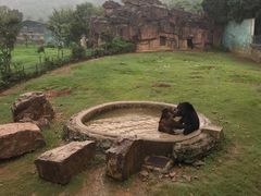 -无锡动物园·太湖欢乐园