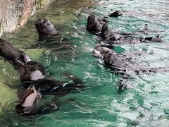 -珠海长隆海洋王国