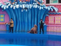 -华夏文旅海洋公园