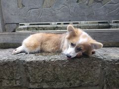 -四门塔风景区